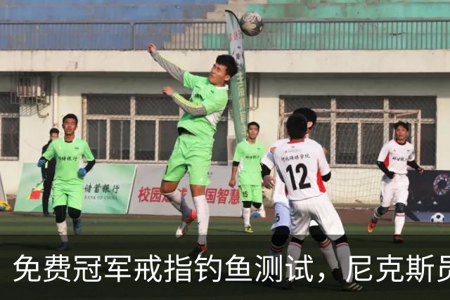 免费冠军戒指钓鱼测试，尼克斯员工点了就得上安全课