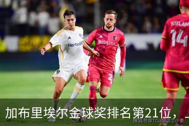 加布里埃尔金球奖排名第21位，上赛季英超17次零封为后卫最多