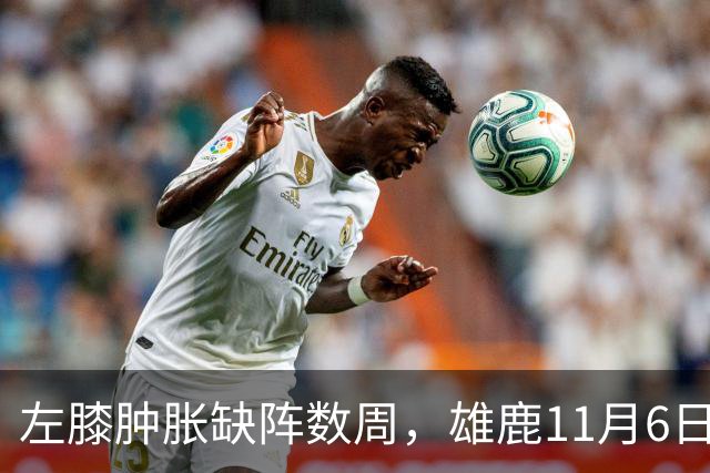 左膝肿胀缺阵数周，雄鹿11月6日对阵猛龙少了一大威胁