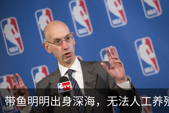 带鱼明明出身深海，无法人工养殖，为什么成了便宜的平民海鲜？