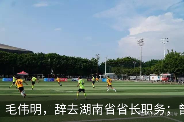毛伟明，辞去湖南省省长职务；曾任江苏省副省长、工信部副部长、江西省常务副省长、国家电网有限公司董事长等职务