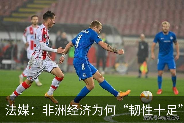 法媒：非洲经济为何“韧性十足”？