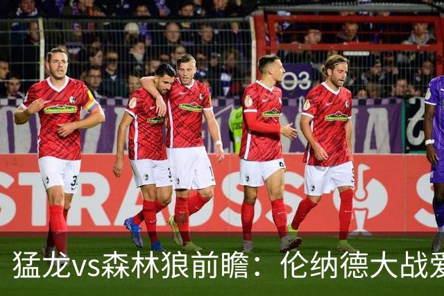 猛龙vs森林狼前瞻：伦纳德大战爱德华兹，一场不同风格的强硬对决