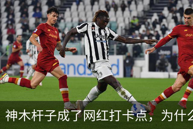 神木杆子成了网红打卡点，为什么要围起来？