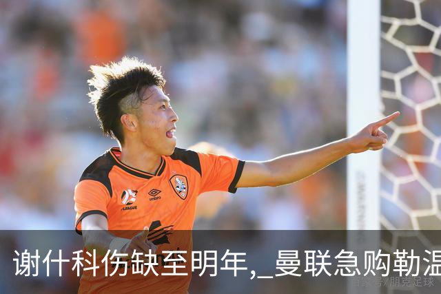 谢什科伤缺至明年, 曼联急购勒温补锋线