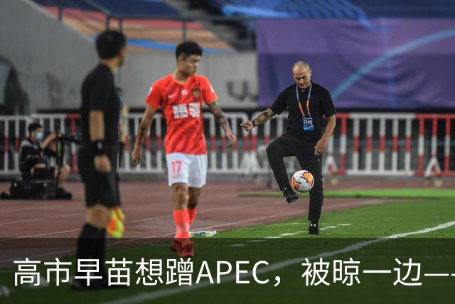 高市早苗想蹭APEC，被晾一边——这台阶修成滑梯还铺“鬼火”，滑不滑稽？